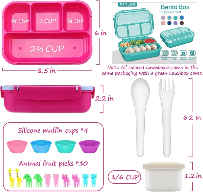 QQKO Bento Box for Kids Adults, School Toddler Lunch Box for Boys Girls, Lunch Box Containers with 4 Compartments, Sauce Container, Utensils, Food Picks and Muffin Cups for School, Pink Blue - Image 2